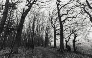 5 Horror Subgenres That Deserve More Love